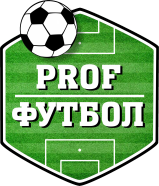 Спортивное оборудование SPORTWERK в Воронеже - компания PROFФУТБОЛ